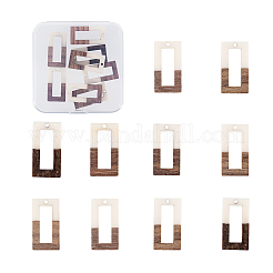 Resin & Wood Pendants&nbsp;RESI-OL0001-09C