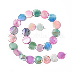 Natural Freshwater Shell Beads Strands&nbsp;SHEL-C003-02