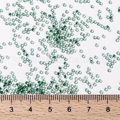 MIYUKI Round Rocailles Beads&nbsp;SEED-X0056-RRHB169