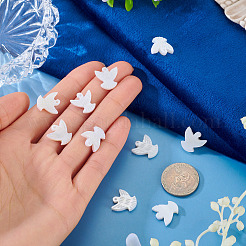 10Pcs Natural Freshwater Shell Beads&nbsp;BSHE-TA0001-31