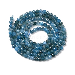 Natural Apatite Beads Strands&nbsp;G-K366-C07-2mm