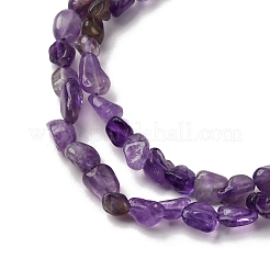 Natural Amethyst Beads Strands&nbsp;G-I389-A14