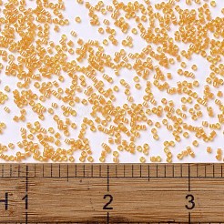MIYUKI Delica Beads&nbsp;SEED-JP0008-DB2045