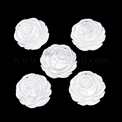 Natural White Shell Carved Pendants&nbsp;SSHEL-B006-02