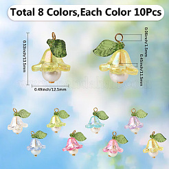 10 Sets Acrylic Charms&nbsp;FIND-SC0016-67
