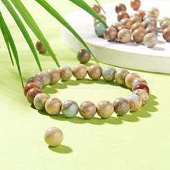100Pcs 8mm Natural Aqua Terra Jasper Beads&nbsp;DIY-LS0002-35