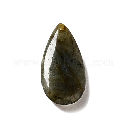 Natural Labradorite Pendants&nbsp;G-F731-04E