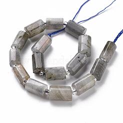 Natural Labradorite Beads Strands&nbsp;G-S345-8x11-001