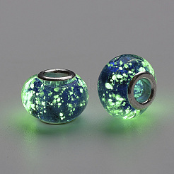 Handmade Luminous Lampwork European Beads&nbsp;LAMP-Q029-35B