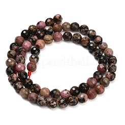 Natural Rhodonite Beads Strands&nbsp;G-C280-B12-6mm