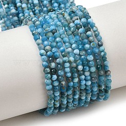Natural Apatite Beads Strands&nbsp;G-D347-A01