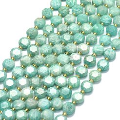 Natural Amazonite Beads Strands&nbsp;G-C116-A103-01