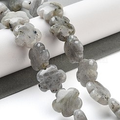 Natural Labradorite Beads Strands&nbsp;G-F769-P01-01