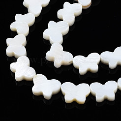 Natural Freshwater Shell Beads Strands&nbsp;SHEL-Q024-012