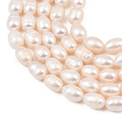 Natural Cultured Freshwater Pearl Beads Strands&nbsp;PEAR-F020-23B