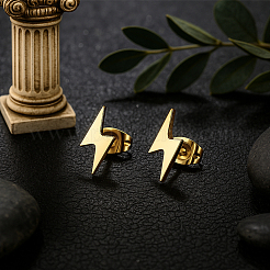 6 Pairs 2 Colors 304 Stainless Steel Stud Earrings&nbsp;EJEW-GO0002-27