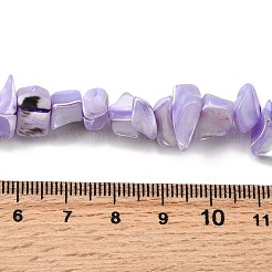Natural Trochid Shell/Trochus Shell Beads Strands&nbsp;SHEL-B003-02F