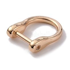 Alloy D-Rings with Screw Shackle&nbsp;FIND-WH0010-29