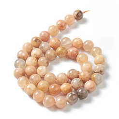 Natural Sunstone Beads Strands&nbsp;G-M373-01B