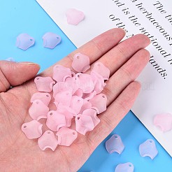 Transparent Acrylic Beads&nbsp;MACR-S373-106-D05