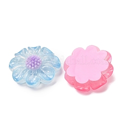 Transparent Resin & Glitter Powder Cabochons&nbsp;RE-CBA0EC6-12