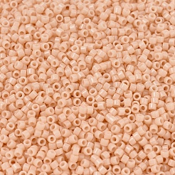 MIYUKI Delica Beads&nbsp;SEED-JP0008-DB2351