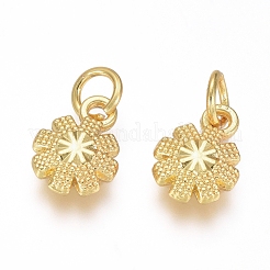 Electroplated Alloy Charms&nbsp;PALLOY-G267-11G