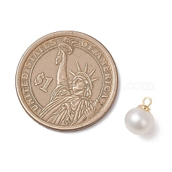 Natural Cultured Freshwater Pearl Round Charms&nbsp;PALLOY-JF04869