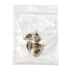 Transparent Glass Pendants&nbsp;GLAA-FZ0001-02F