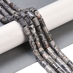 Natural Map Stone Beads Strands&nbsp;G-C128-A04-01