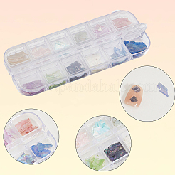 1 Set 12 Colors Shell Slices&nbsp;MRMJ-SP0001-05B