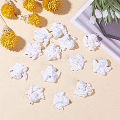 Resin Pendants&nbsp;RESI-CJ0002-03