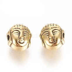 Tibetan Style Alloy Beads&nbsp;LS-TIBEB-60018-AG-FF