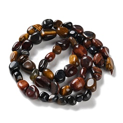 Natural Tiger Eye Beads Strands&nbsp;G-P497-01C-24