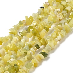Natural Lemon Jade Chip Bead Strands&nbsp;G-M205-22