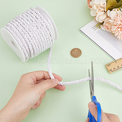 3-Ply Polyester Twisted Cord&nbsp;OCOR-WH0071-038C