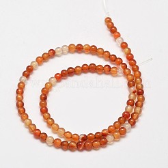 Round Natural Red Agate Bead Strands&nbsp;X-G-M257-4mm-26