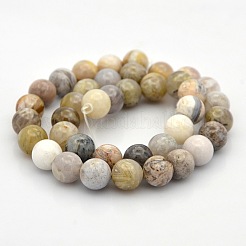 Natural Bamboo Leaf Agate Round Beads Strands&nbsp;G-N0120-12-10mm
