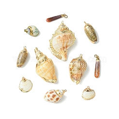 16pcs 8 Styles Electroplated Natural Mixed Shell Big Pendants&nbsp;SSHEL-CJ0001-21