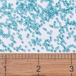 MIYUKI Delica Beads&nbsp;SEED-JP0008-DB1248
