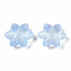 Transparent Acrylic Beads&nbsp;OACR-S028-136