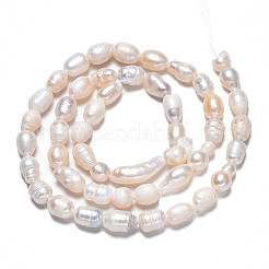 Natural Cultured Freshwater Pearl Beads Strands&nbsp;PEAR-N012-05F