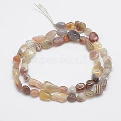 Natural Botswana Agate Beads Strands&nbsp;G-F521-45