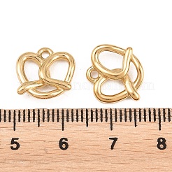 304 Stainless Steel Charms&nbsp;STAS-L022-586G