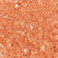 Glass Seed Beads&nbsp;SEED-K009-08B-02