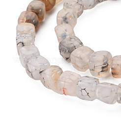 Natural Agate Beads Strands&nbsp;G-N326-99F