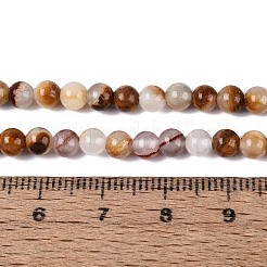 Natural Wood Lace Stone Wooden Jasper Beads Strands&nbsp;G-B128-A04-01