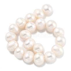 Natural Cultured Freshwater Pearl Beads Strands&nbsp;PEAR-C003-22A