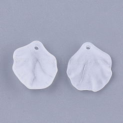 Transparent Acrylic Pendants&nbsp;X-FACR-T001-13