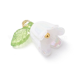 5Pcs Transparent Acrylic Pendants&nbsp;PALLOY-JF04703-01